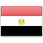 نموذج طلب مصر  لسكان قطر.