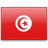 نموذج طلب تونس  لسكان قطر.